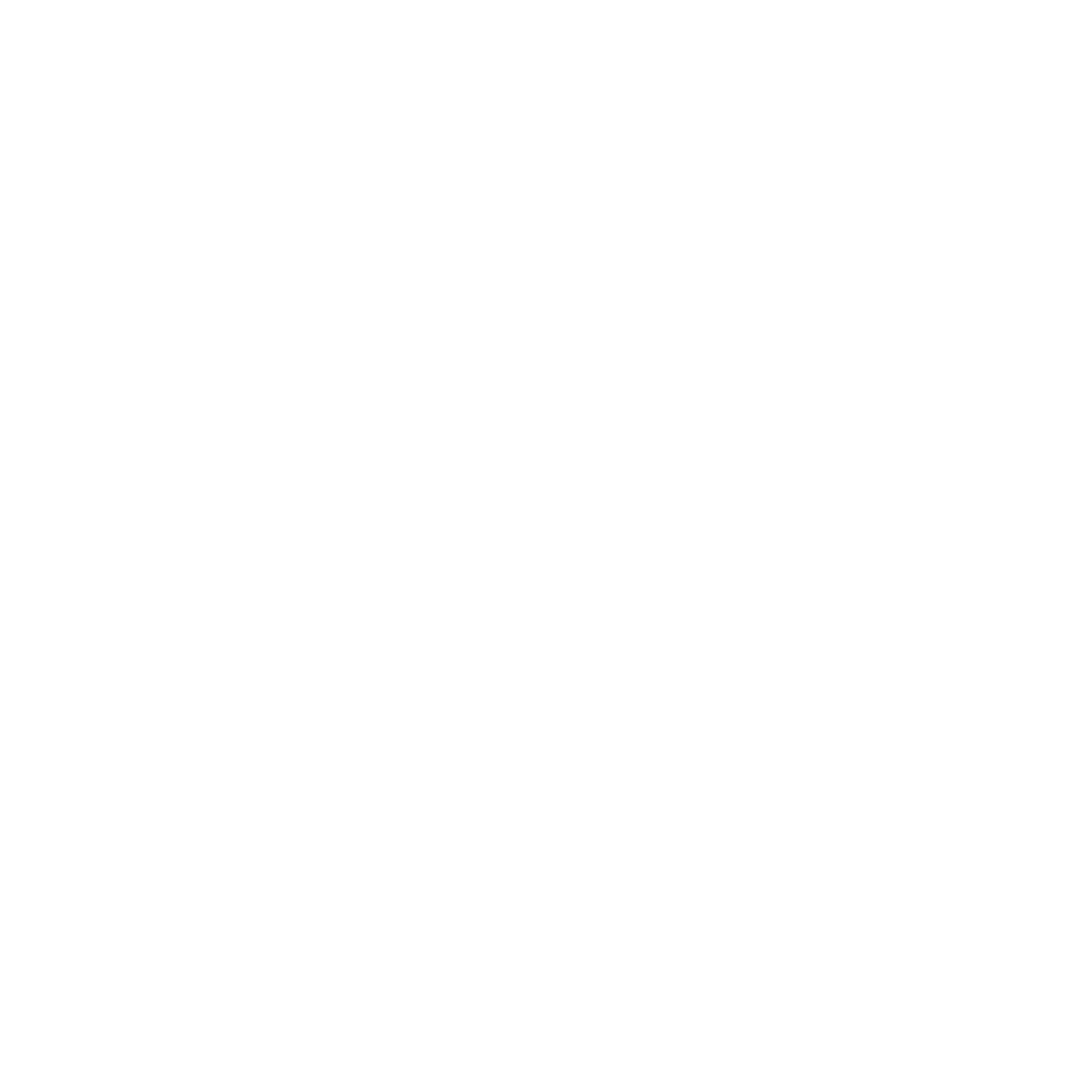 Team Rvz